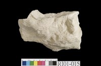 藏品(石灰岩)的圖片